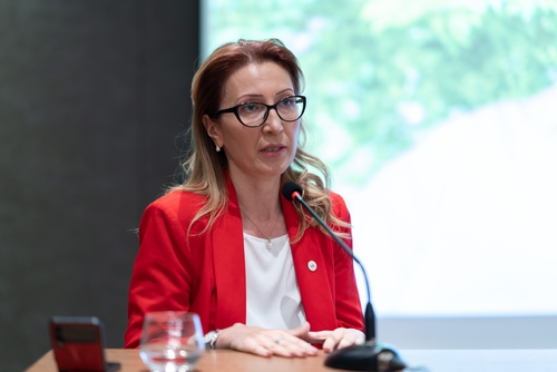 Ամո՛թ է թոշակառուների խոցելի վիճակը նախընտրական խաղալիք դարձնելը․ Մանե Թանդիլյան