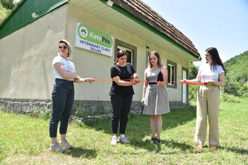 Դիլիջանում թափառող շների խնդիրը լուծելու նպատակով բացվել է անասնաբուժական կլինիկա