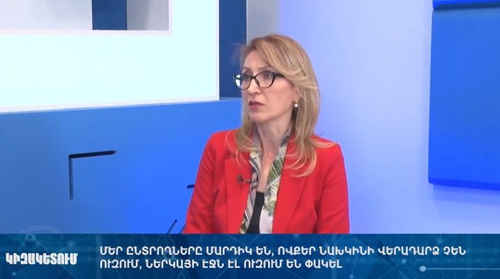 Երևանը՝ երկրում իշխանափոխության ազդակներ տալու պատասխանատվություն ունի․ Մանե Թանդիլյան
